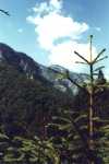 Im Retezat-Gebirge