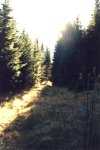 Licht und Schatten