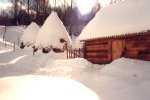 Harter Winter