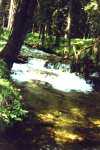 Wilder Fluss