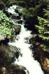 Pure Frische