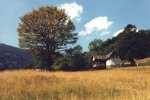Im Retezat-Gebirge