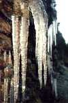Eis-Bernstein
