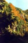 Herbstfarben