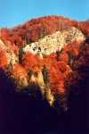 Herbstfarben