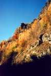 Herbstfarben