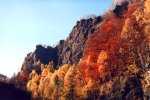 Herbstfarben